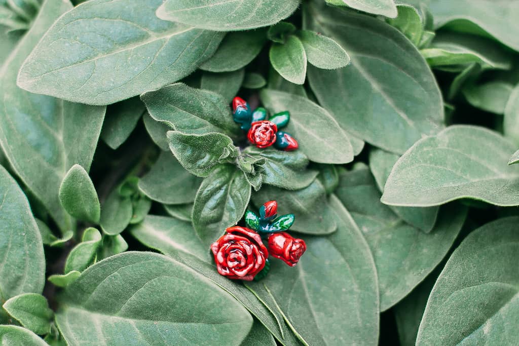 Beautiful red rose earrings placed on green leaves.