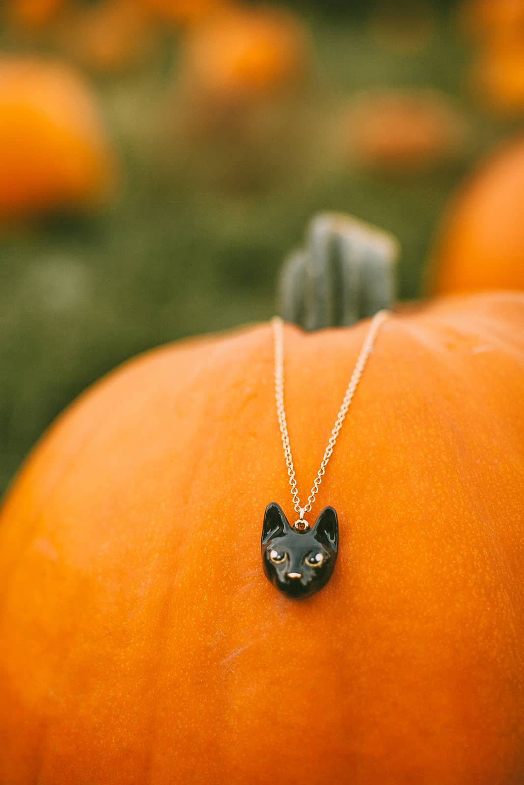 Adorable gold necklace with black cat's head pendant resting on a pumpkin.