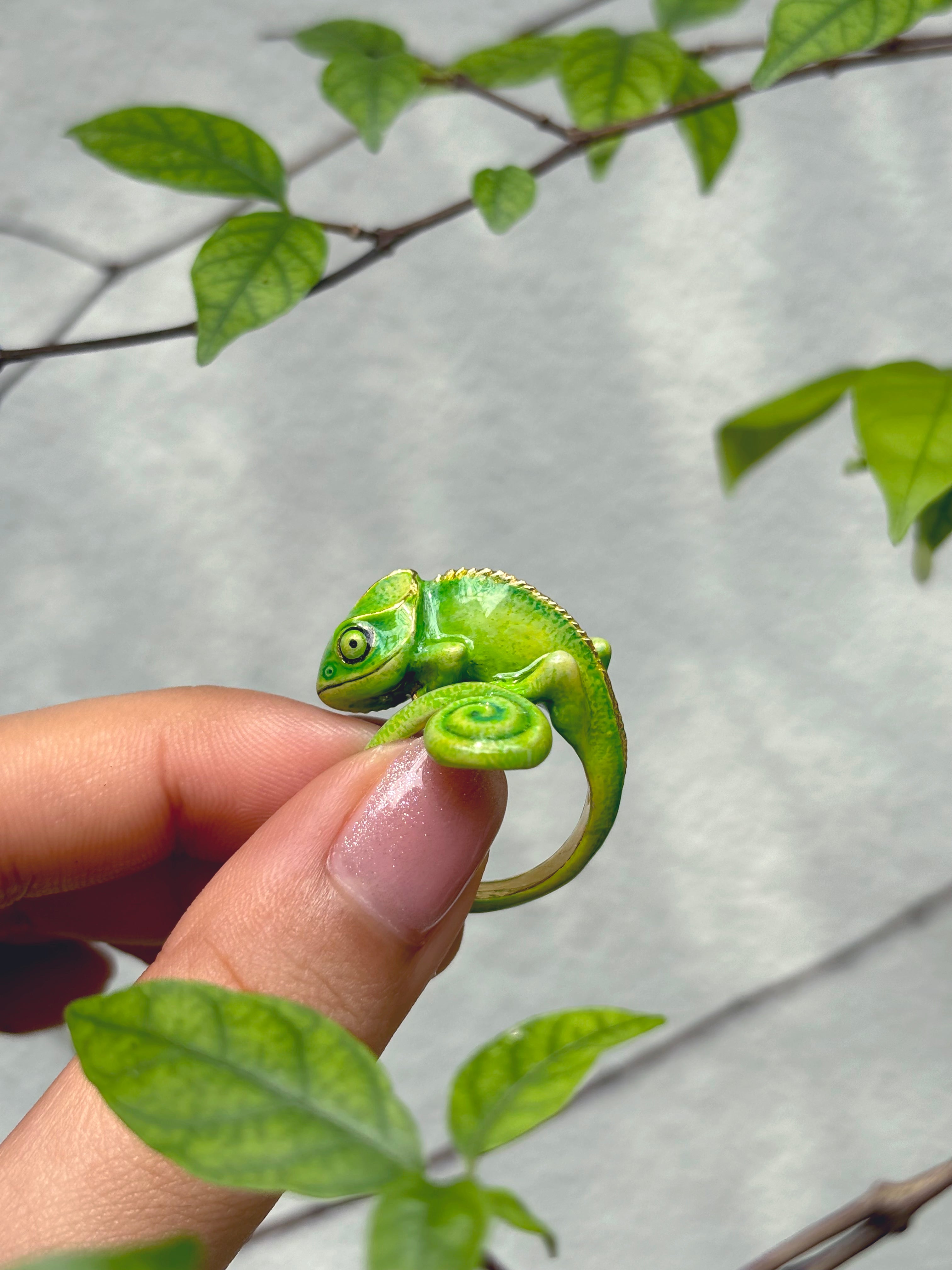 Close-up of a green chameleon ring being held surrounded by leaves.