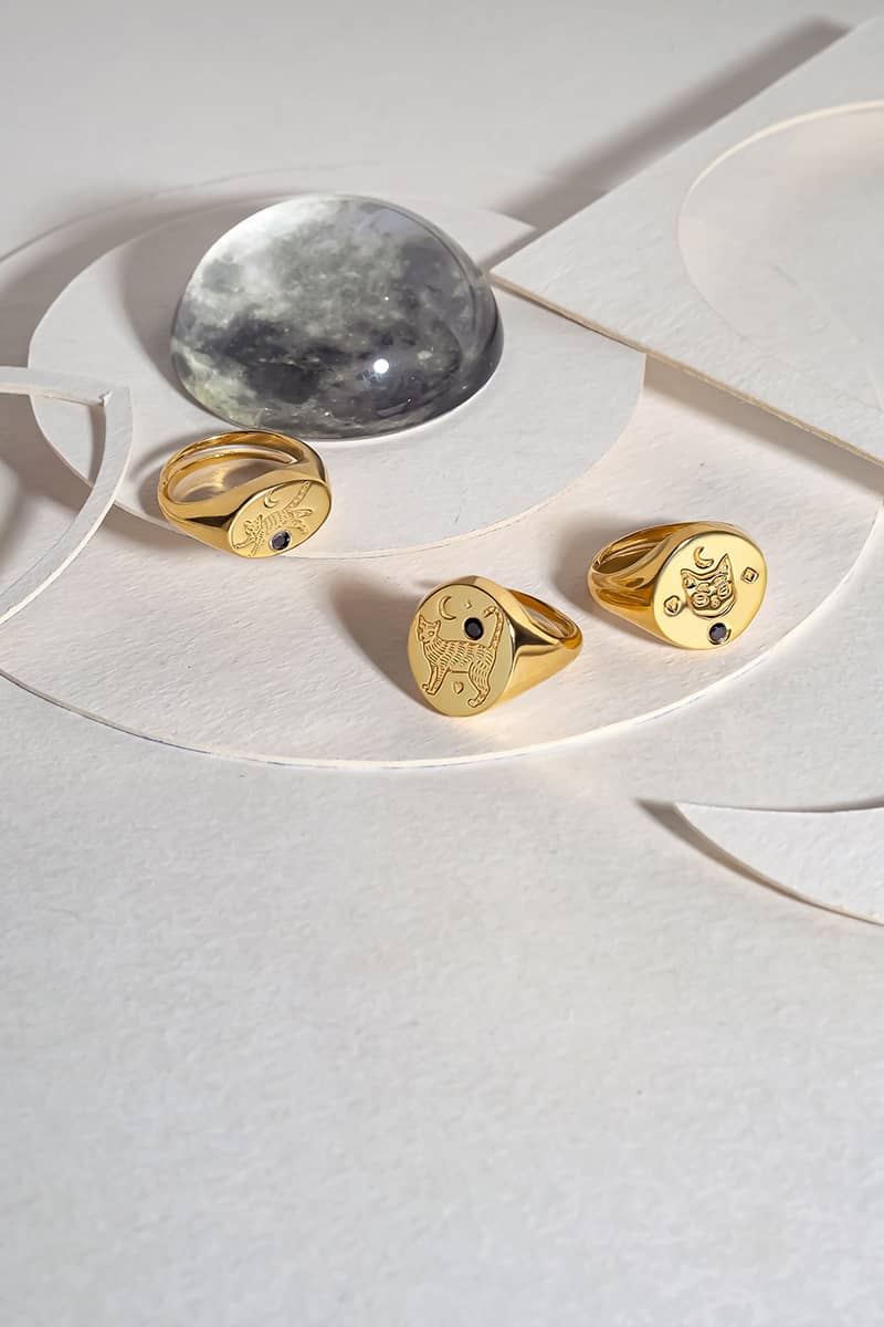 Beautiful gold rings featuring cat designs place on a light background.