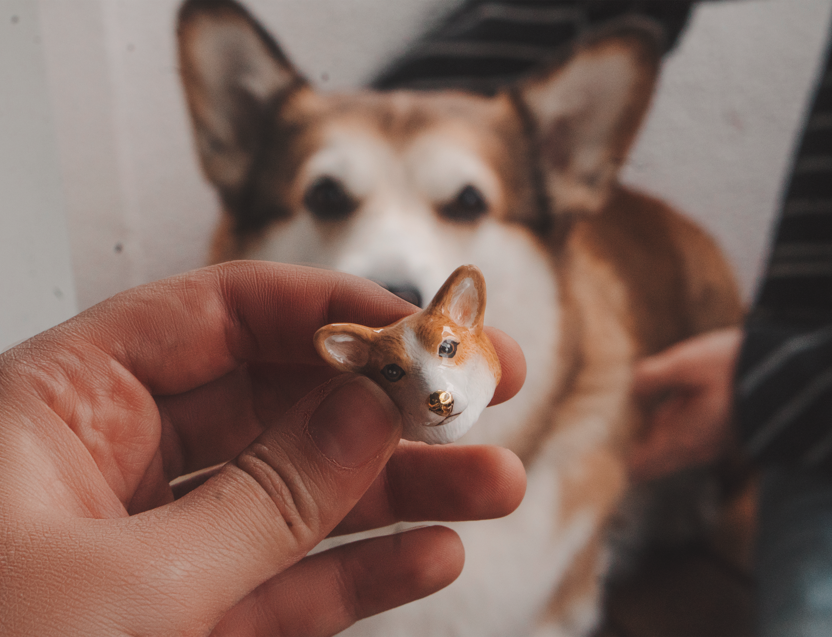 Latte Corgi Ring