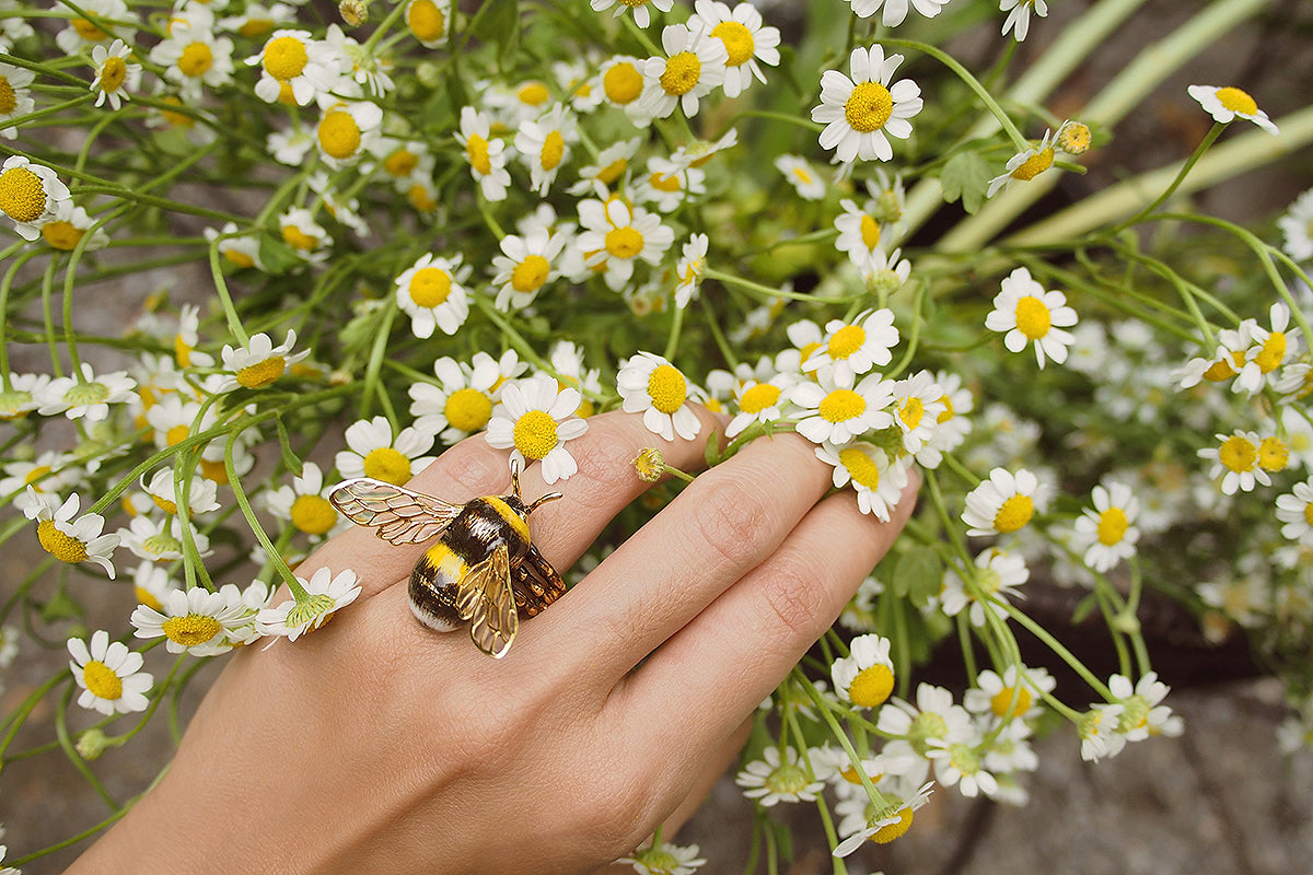 Close-up of a bee ring on a hand among blooming daisies.