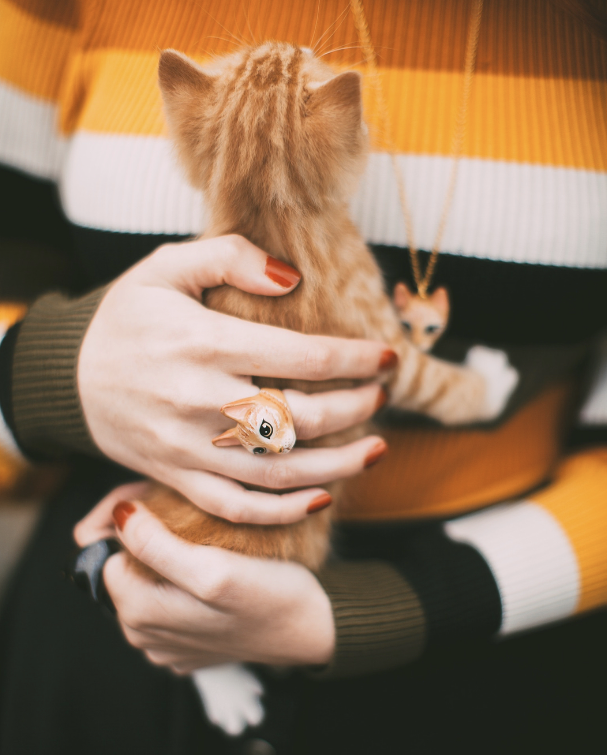 Close-up of a cat ring worn by a woman holding an orange kitten.