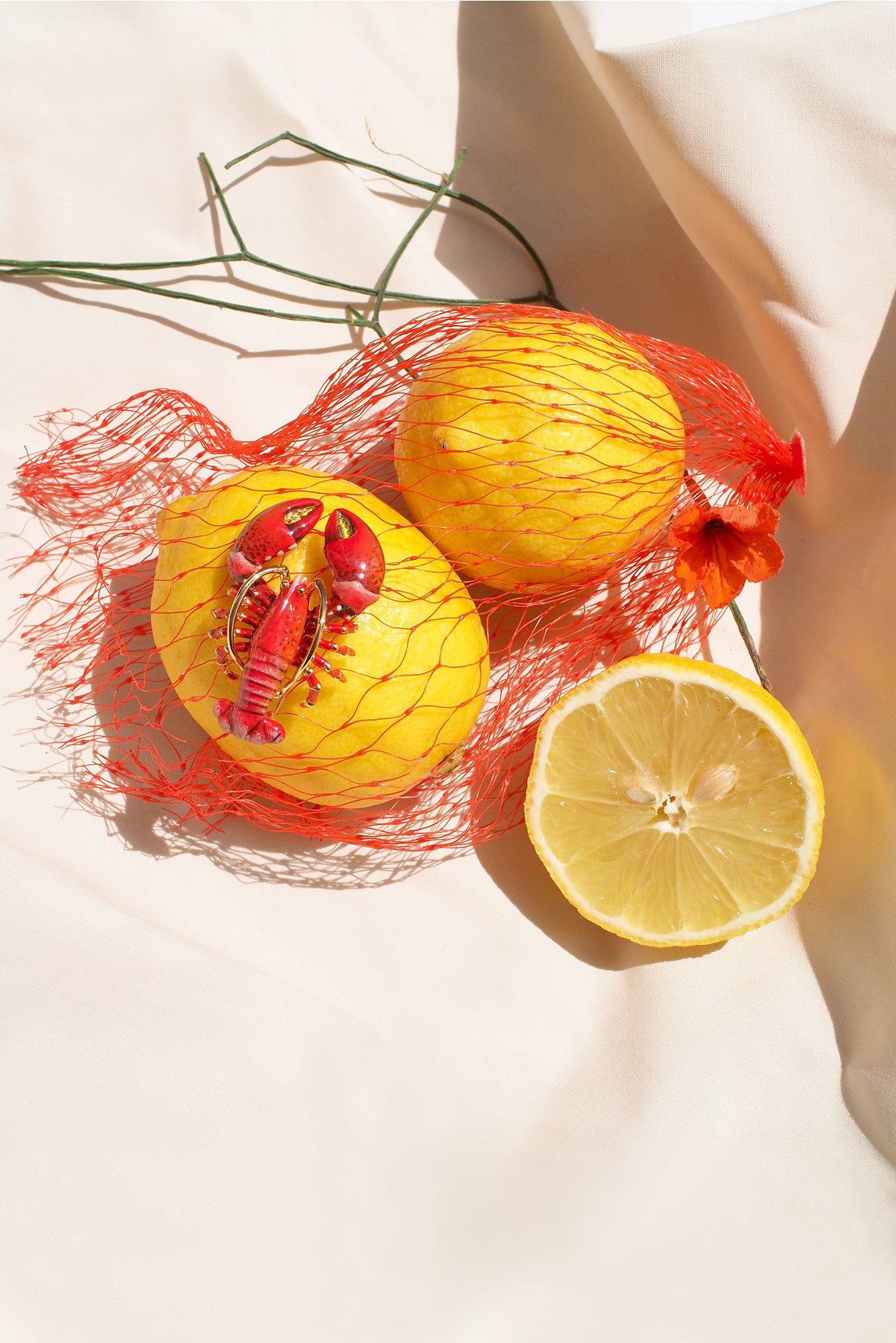 Unique red lobster brooch placed on a lemon with a light background.