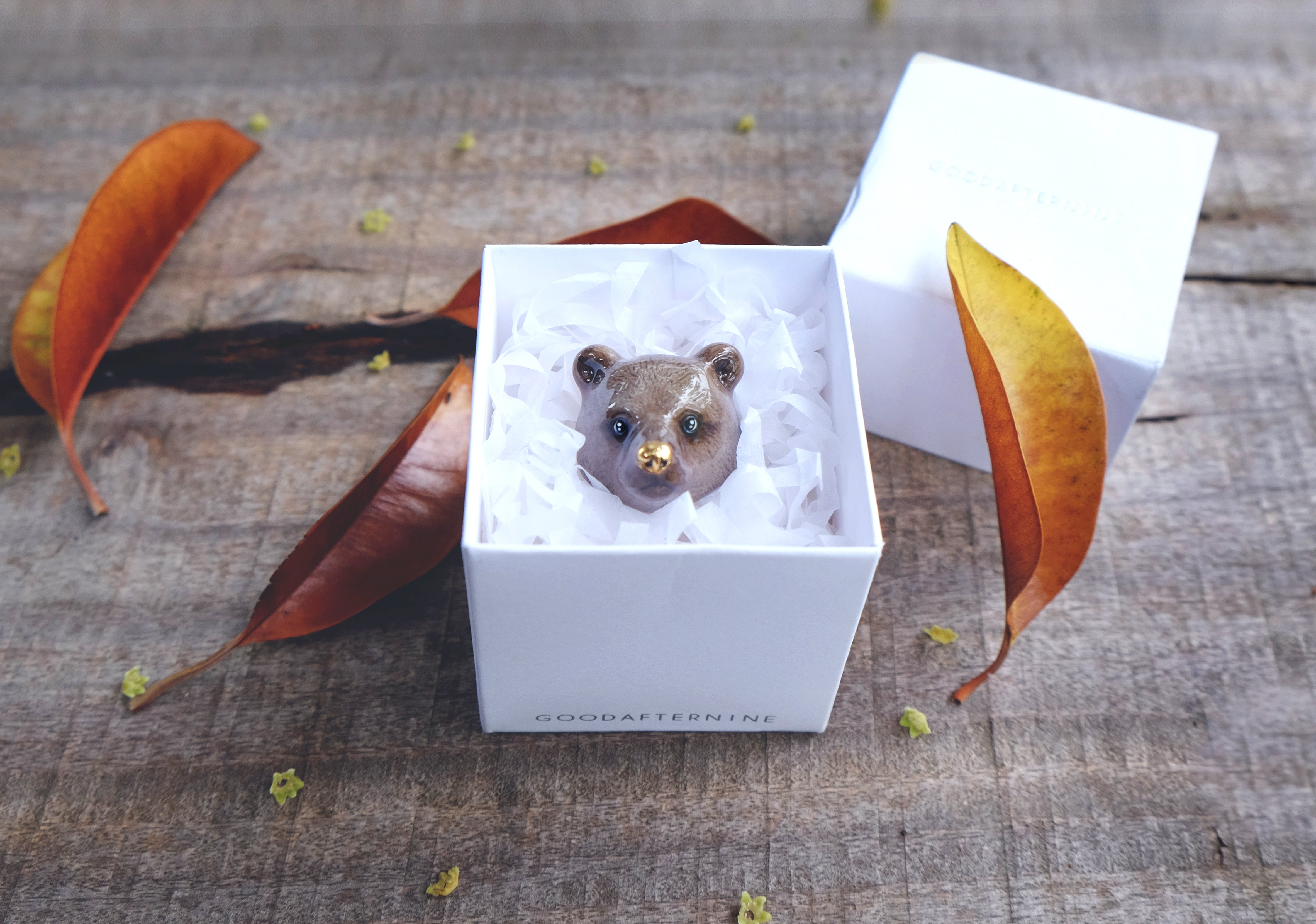 Close-up of a grizzly bear ring inside a box surrounded by autumn leaves