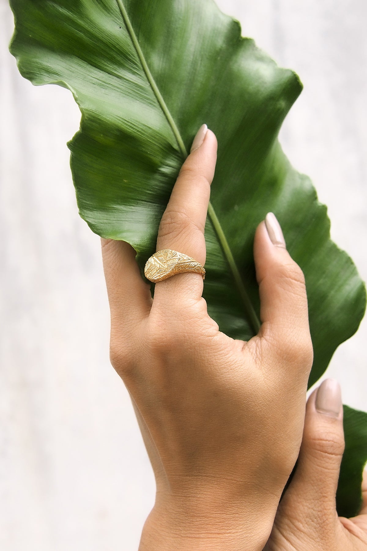 Close up of a hand wearing an elegant gold ring with distinct textures, featuring a feather pattern while holding a green leaf.