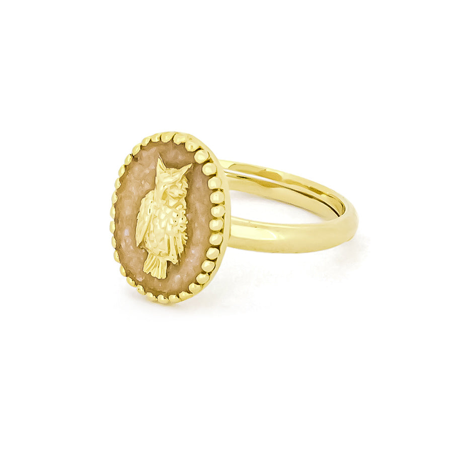 Beautiful gold ring featuring a carved owl set in an oval background.